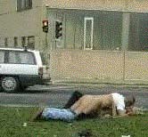 Sex auf dem Gr&uuml;nstreifen